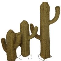 Cactus tressés 3 formats