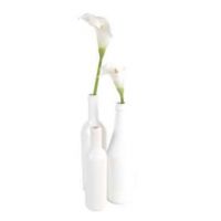 Centre de table bouteille