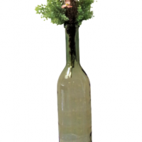 Pack rioja vert